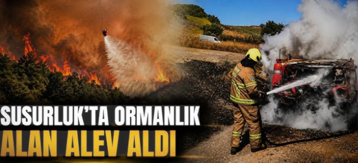 G&ouml;ky&uuml;z&uuml;nde nefes kesen operasyon: Yangın u&ccedil;aklarından Susurluk'ta eş zamanlı &ccedil;ıkarma