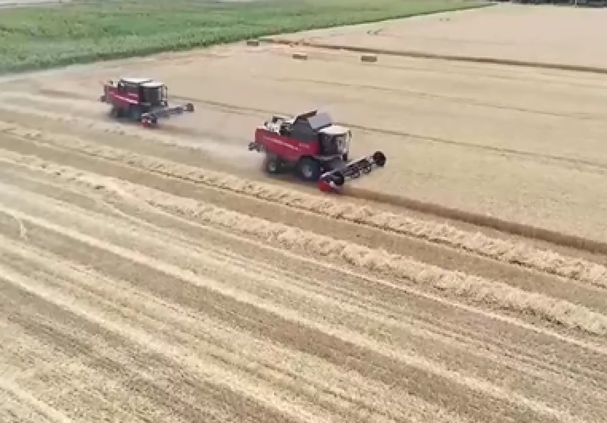 G&uuml;bre ithalatında g&uuml;mr&uuml;k vergisi sıfırlandı           