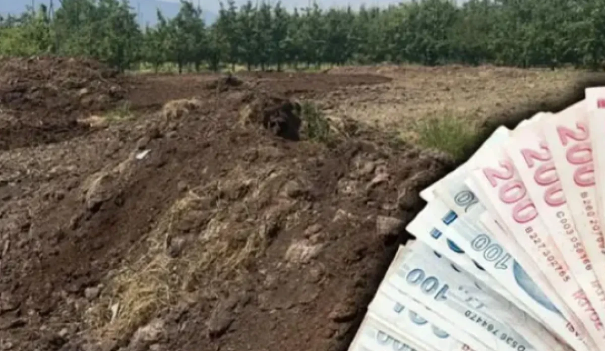 G&uuml;nl&uuml;k 5 bin liraya iş&ccedil;i bulamıyorlar! &Ccedil;ift&ccedil;iler zorlanıyor