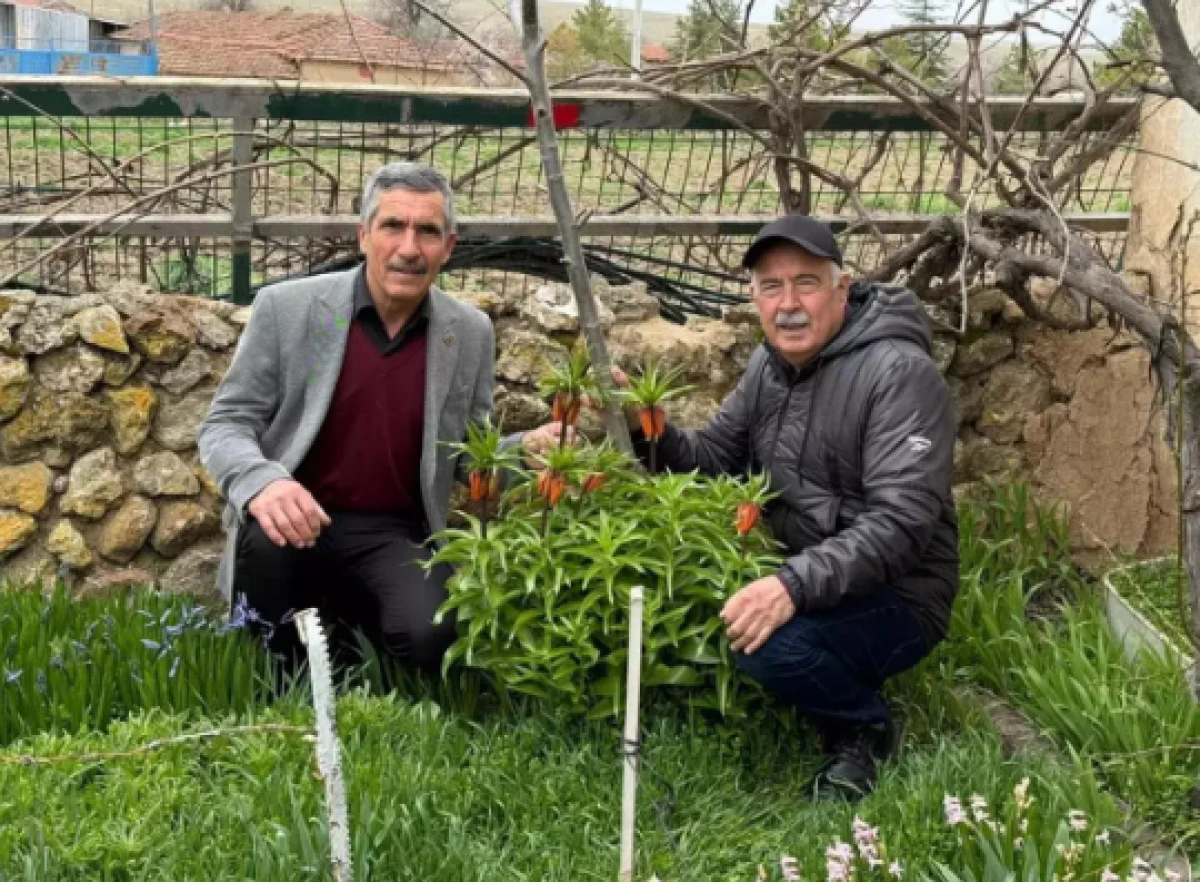 G&uuml;zelliğiyle b&uuml;y&uuml;l&uuml;yor ama dokunması bile yasak                