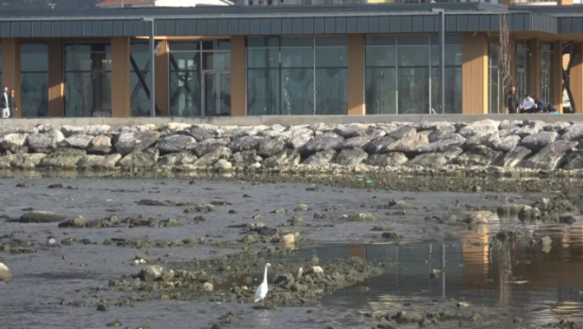 Hatay'da şaşırtan g&ouml;r&uuml;nt&uuml;                           