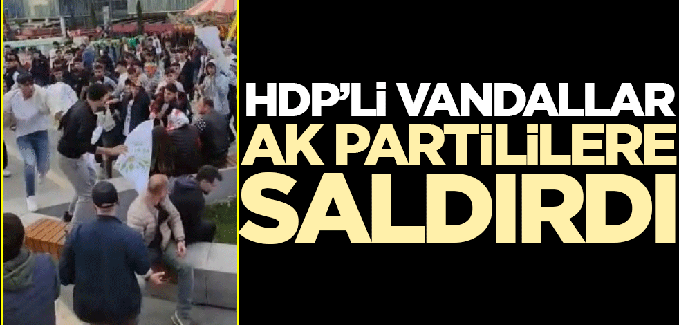 HDP'liler AK Partililere saldırdı!