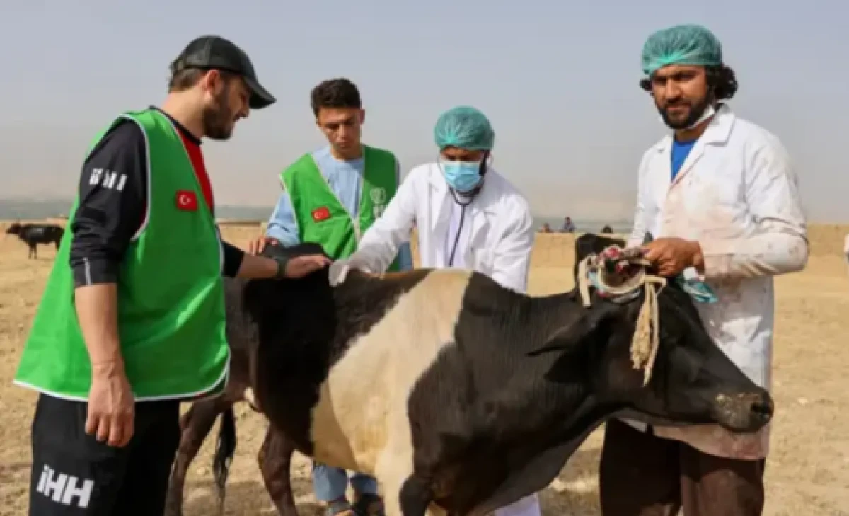 İHH yurt dışı kurban hisse bedelini a&ccedil;ıkladı