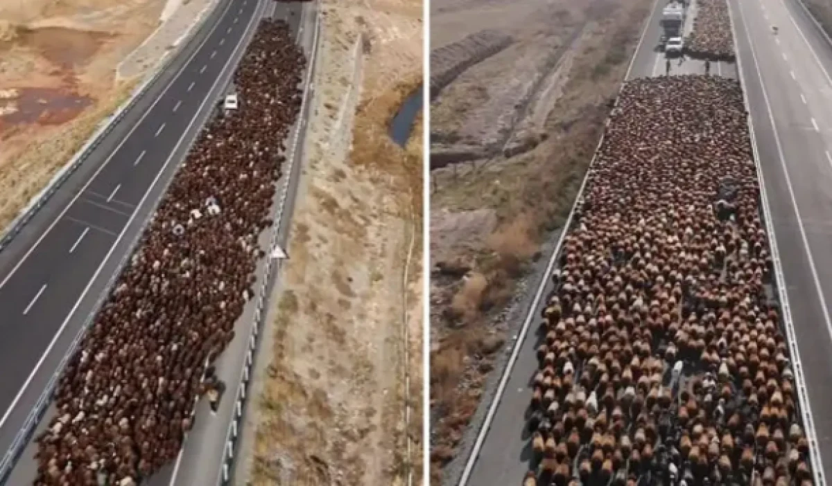 İki şeritli yolu kapattılar: Muazzam d&ouml;n&uuml;ş yolu g&ouml;r&uuml;nt&uuml;lendi!