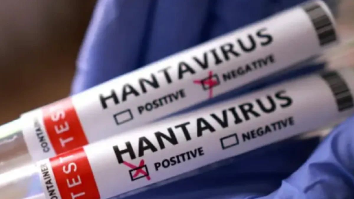 İngiltere'de yeni hantavir&uuml;s vakası!