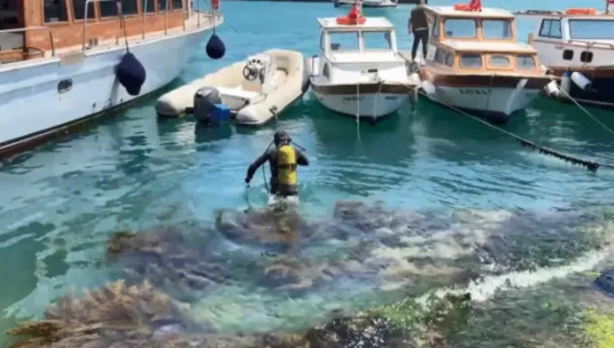 İstanbul Boğazı&rsquo;nda kahreden olay! Midye i&ccedil;in daldı, cesedi 12 saat sonra bulundu