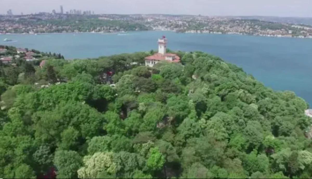 İstanbul Valiliği duyurdu: Ormanlık alanlarda mangal ve nargile yasağı başladı