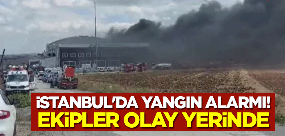 İstanbul'da yangın alarmı!                                 