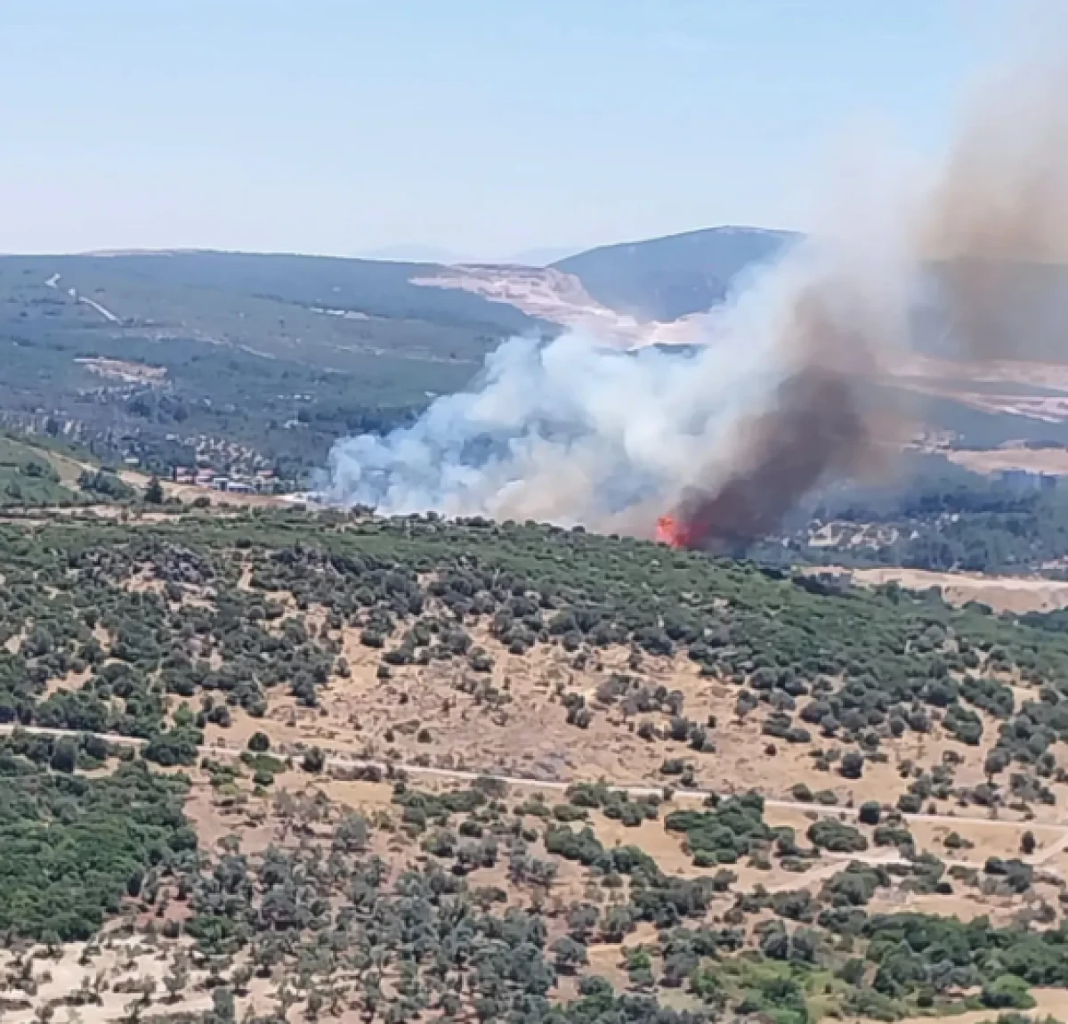 İzmir'de orman yangınına havadan ve karadan m&uuml;dahale