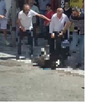 Kadıköy'de köpek saldırısı                      