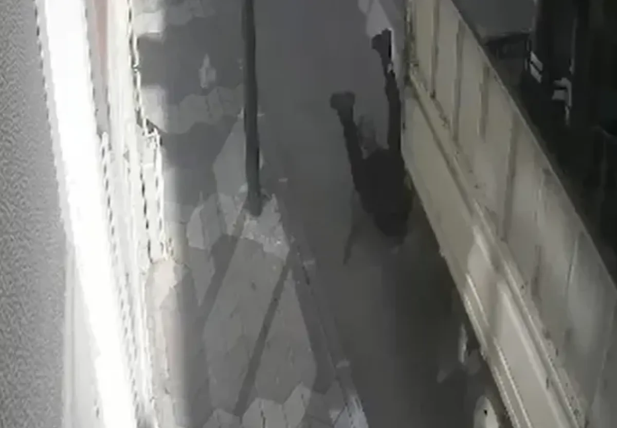 Kamyonetin kasasında seyahat eden şahıs yaralandı