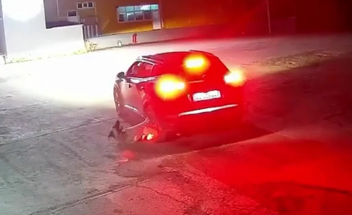 Kapı ge&ccedil; a&ccedil;ılınca hıncını k&ouml;pekten &ccedil;ıkardı! Aracıyla b&ouml;yle ezdi