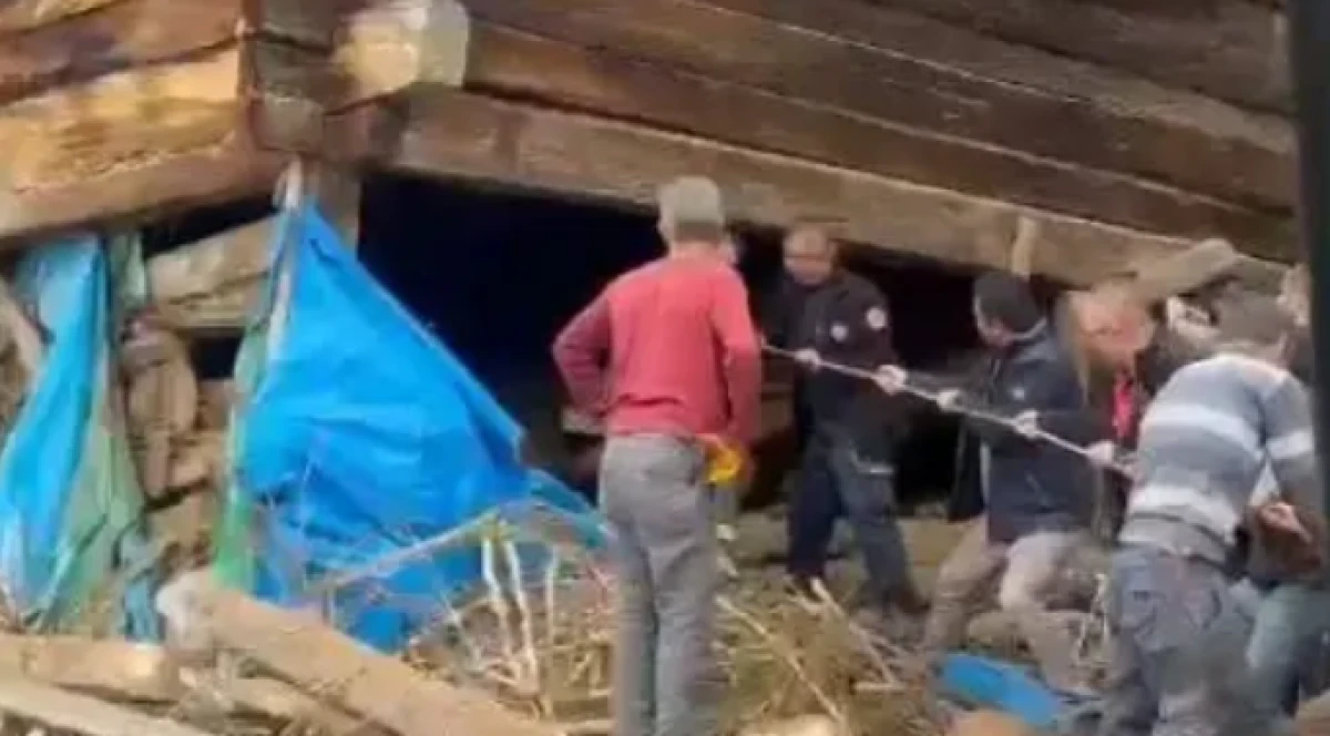 Kastamonu'da ağıl &ccedil;&ouml;kt&uuml;: Bir &ouml;l&uuml;