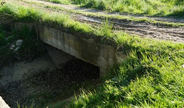 Kastamonu'da dehşete düşüren olay!           