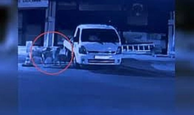 Kastamonu'da sokak köpekleri park halindeki kamyoneti parçaladı! 