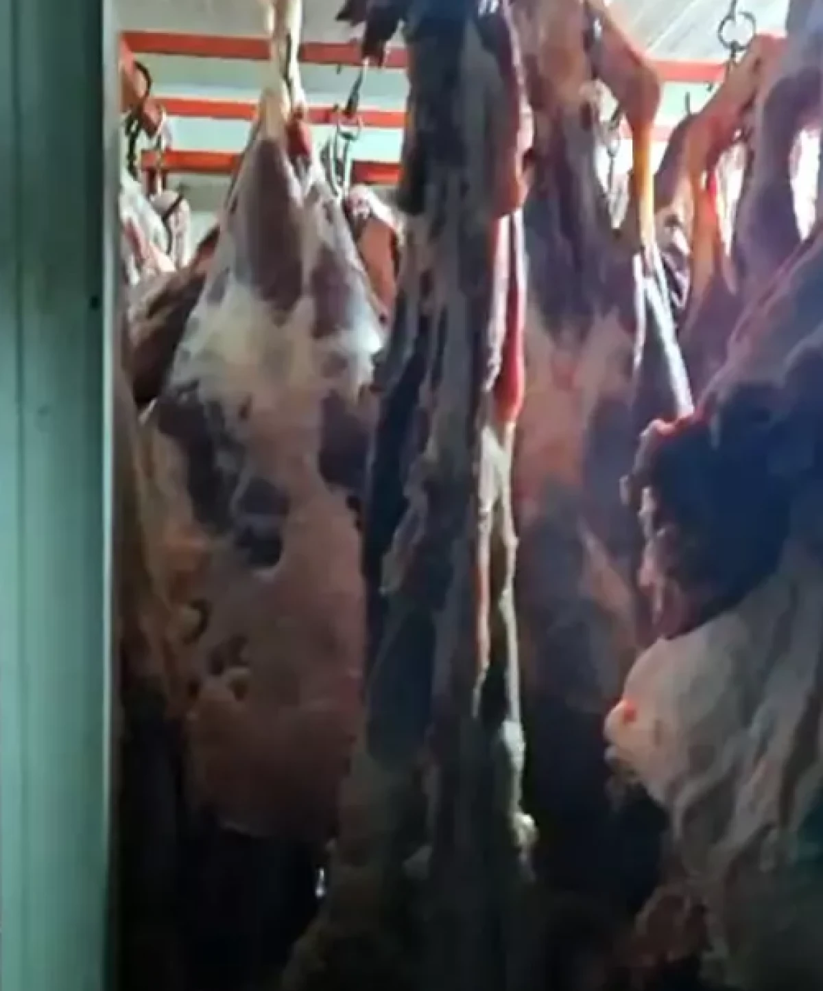 Kayseri'de gıda denetimi: 1,5 ton et imha edildi! 