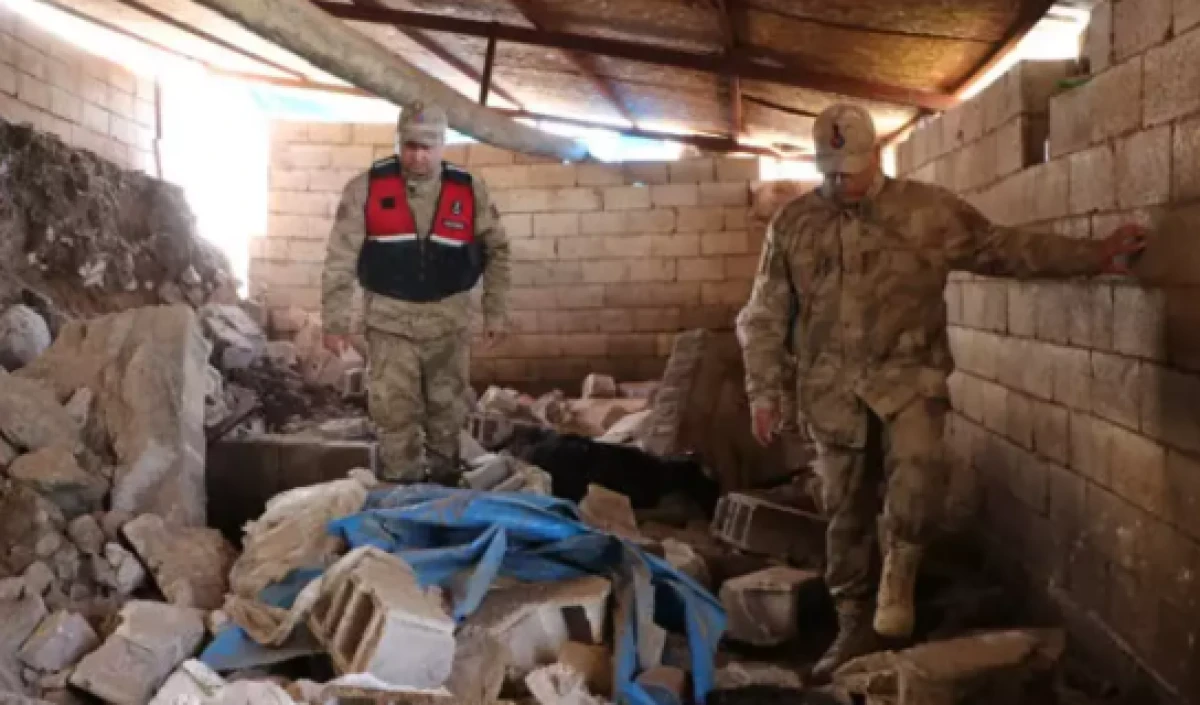 Kilis'te facia, 40 k&uuml;&ccedil;&uuml;kbaş telef oldu