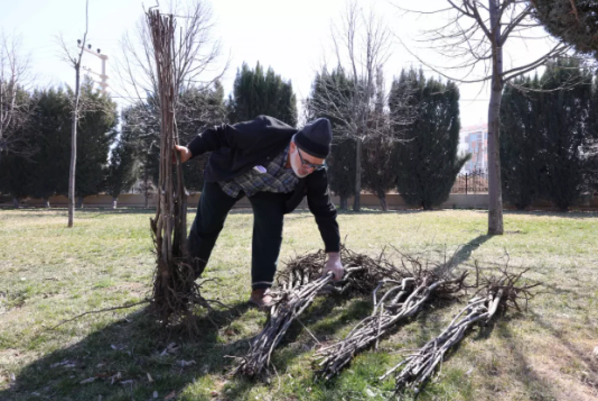 Konya'da 23 bin 500 fidan &ccedil;ift&ccedil;iye ulaştırıldı!      