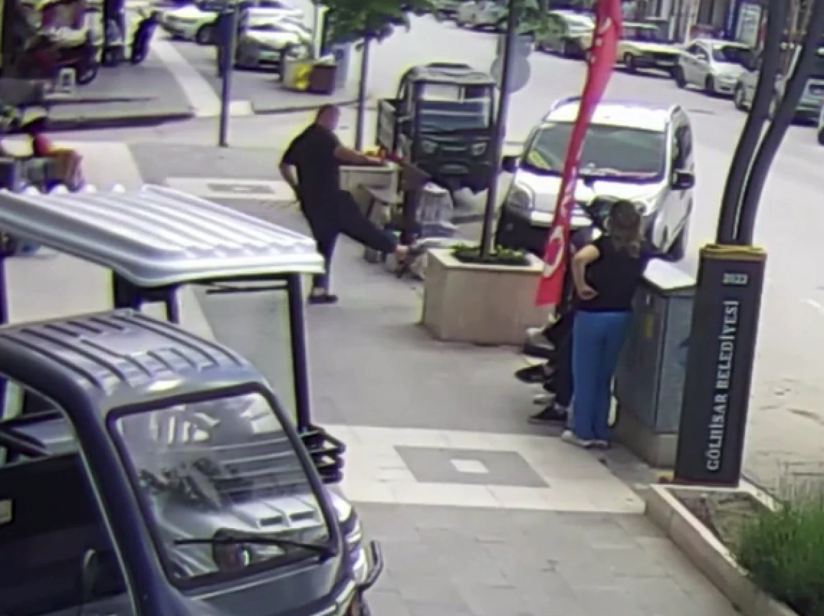 K&ouml;peğine saldıran kediyi tekmeledi