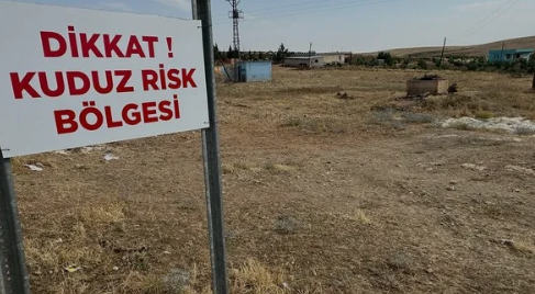 Kuduz can aldı! 9 yaşındaki çocuk öldü   