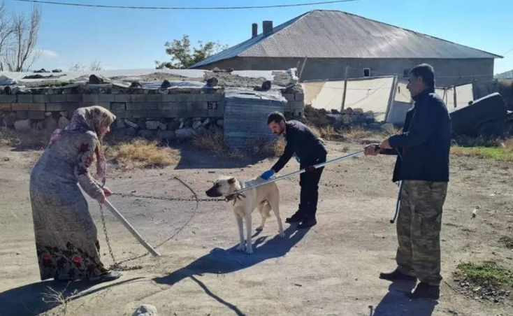 Kuduz vakasında flaş gelişme!                    