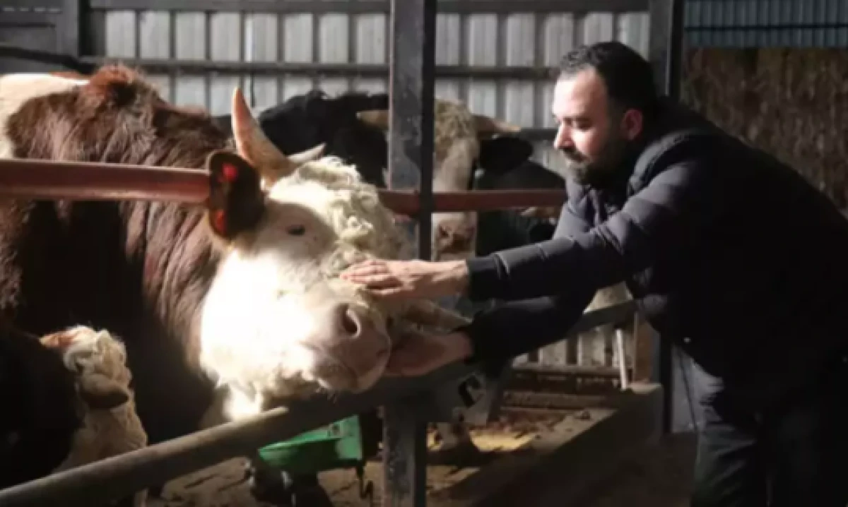 Kurbanlıkta erken rezervasyon d&ouml;nemi         