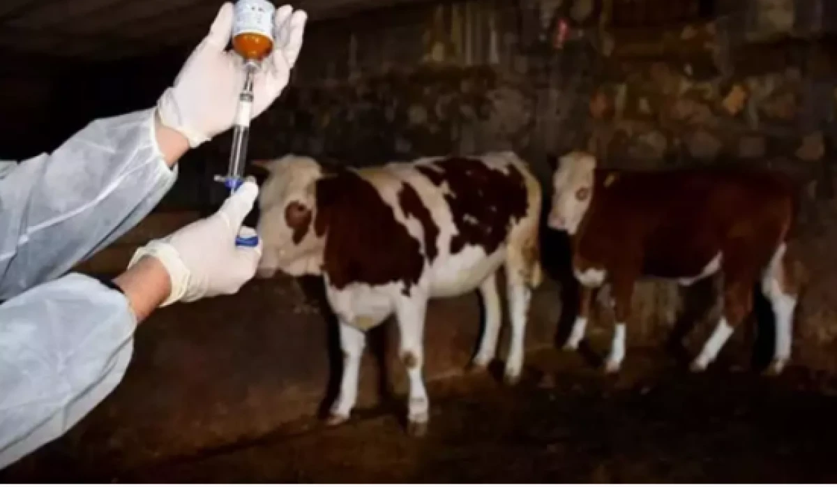 K&uuml;tahya'da alarm                                        