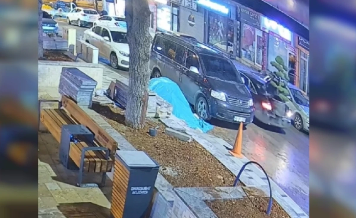 L&uuml;ks ara&ccedil;la gelip parktaki ağacı &ccedil;aldılar