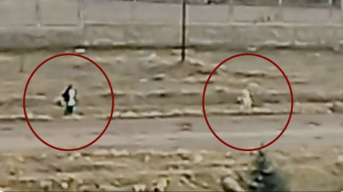 Malatya'da küçük çocuk sokak köpeklerinin saldırısına uğradı! 