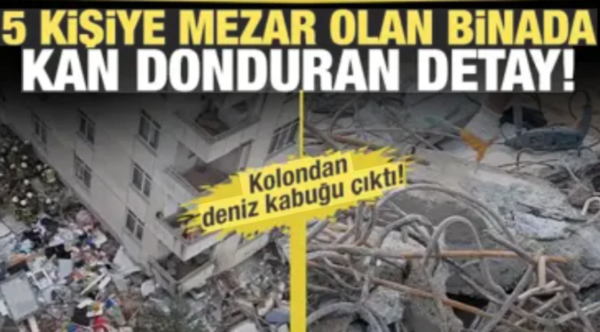 Maltepe&rsquo;deki  5 kişiye mezar olan binada skandal detay: Kolondan deniz kabuğu &ccedil;ıktı!