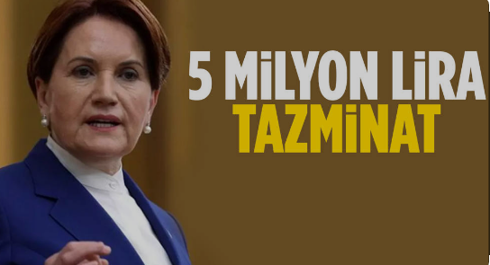 Meral Akşener 5 milyon lira tazminat talebiyle Anayasa Mahkemesi'ne başvurdu!