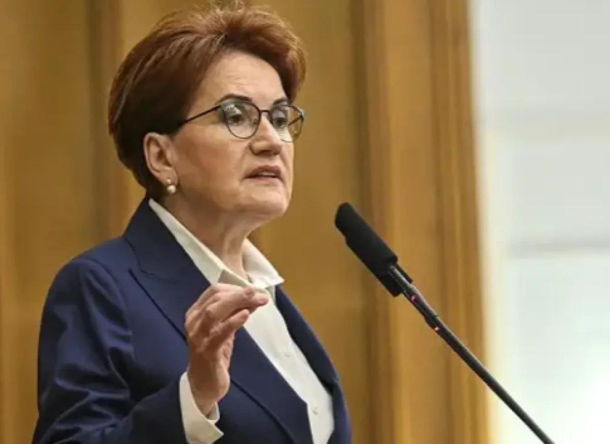 Meral Akşener'den yeni adım: Resmen duyurdu! Logosu bile belli oldu...