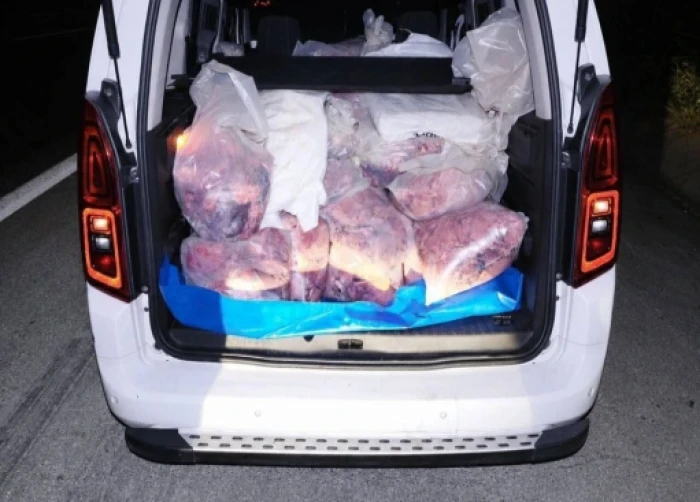 Mersin'de 877 kilogram ka&ccedil;ak sakatat ele ge&ccedil;irildi
