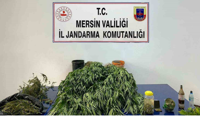 Mersin'de Uyuşturucu operasyonu           