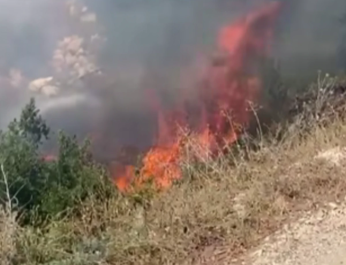 Mersin&rsquo;in Erdemli il&ccedil;esine bağlı Kocahasanlı Mahallesi 1. Kanal mevkiinde &ccedil;ıkan yangın