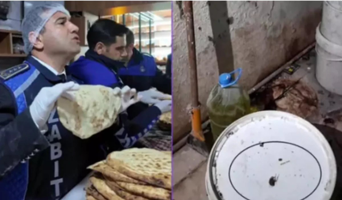 Mide bulandıran manzara                   