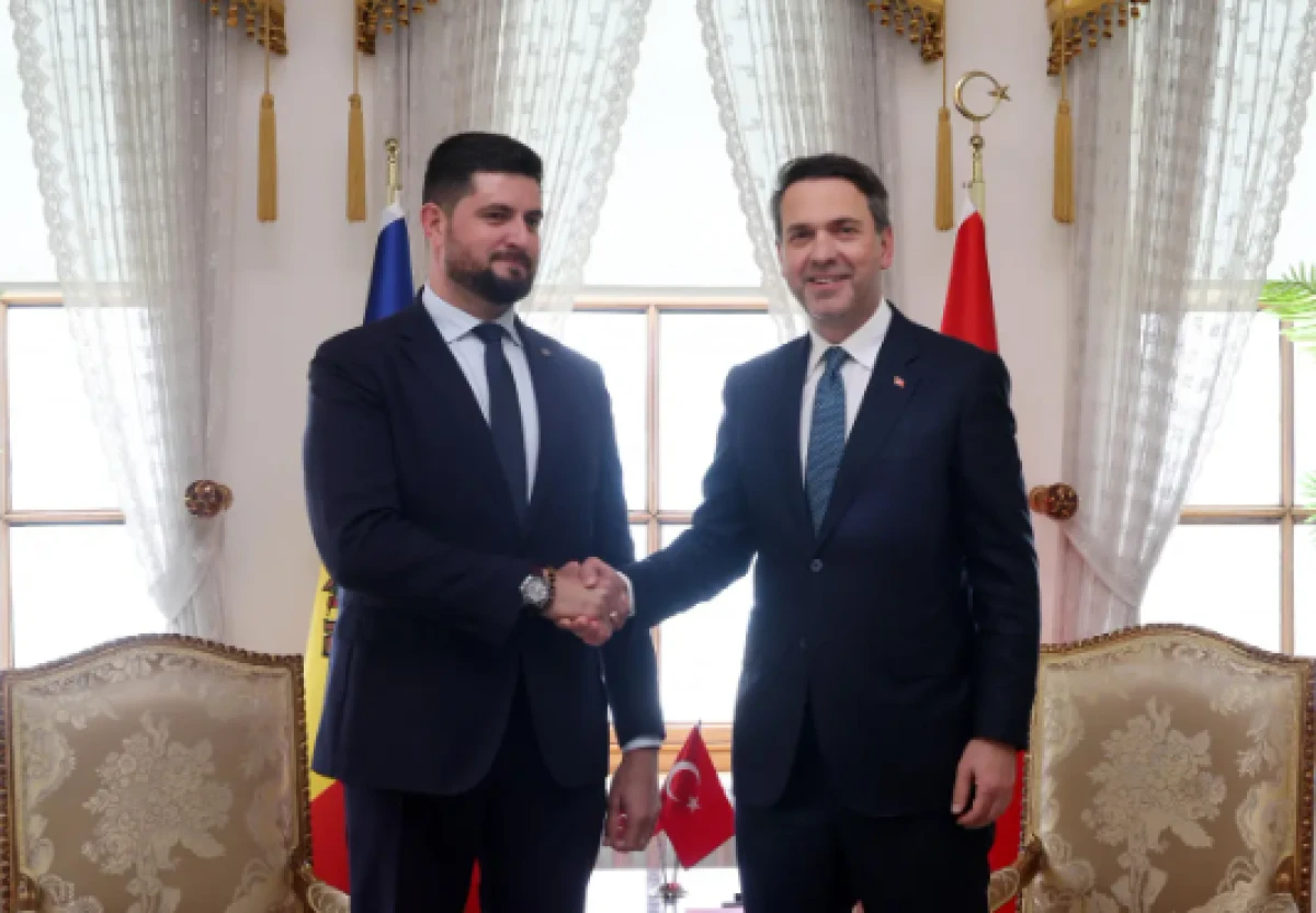 Moldova: 'T&uuml;rkiye ile enerji iş birliğini geliştirme imkanlarını araştırıyoruz'
