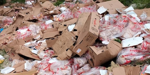 Muğla'da bir işletme ormana paket tavuklar yığdı!