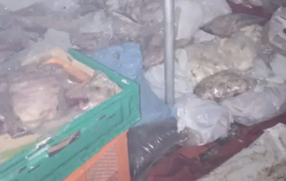Muğla'da k&ouml;t&uuml; koku gıda skandalına g&ouml;t&uuml;rd&uuml;: 400 kilogram bozuk et ele ge&ccedil;irildi