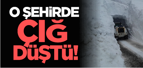 O şehirde çığ düştü!                             