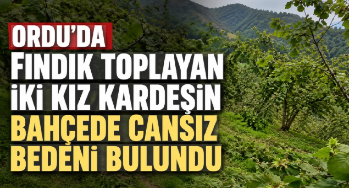 Ordu'da 2 kardeşin cansız bedenleri bulundu!