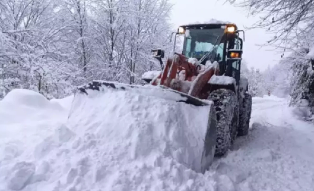 Ordu'da eğitime kar engeli                         