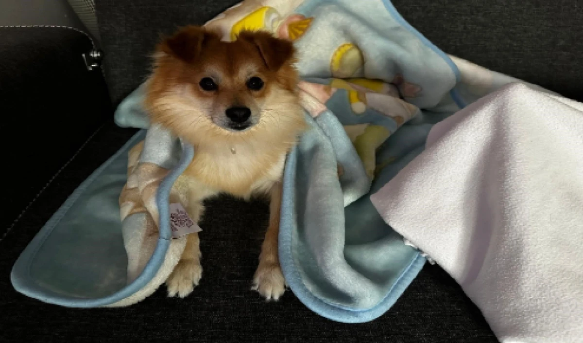 Pablo’yu bulan büyük ödül!                