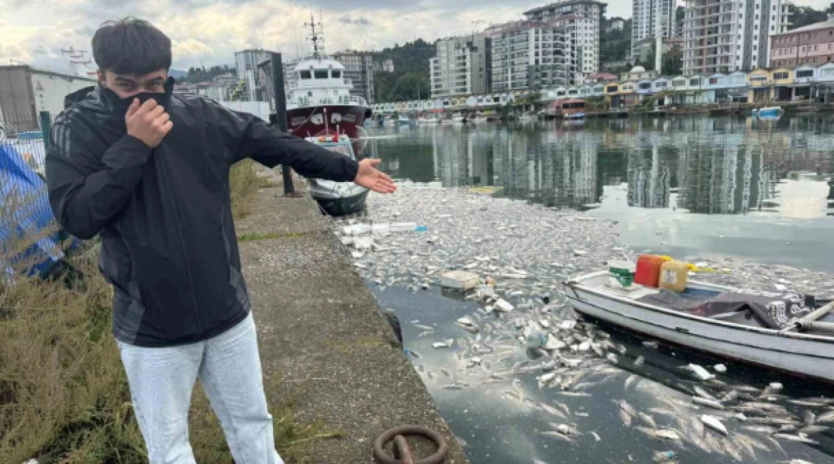 Palamut bolluğu &ccedil;ileye d&ouml;n&uuml;şt&uuml;, liman balık &ccedil;&ouml;pl&uuml;ğ&uuml;ne d&ouml;nd&uuml;