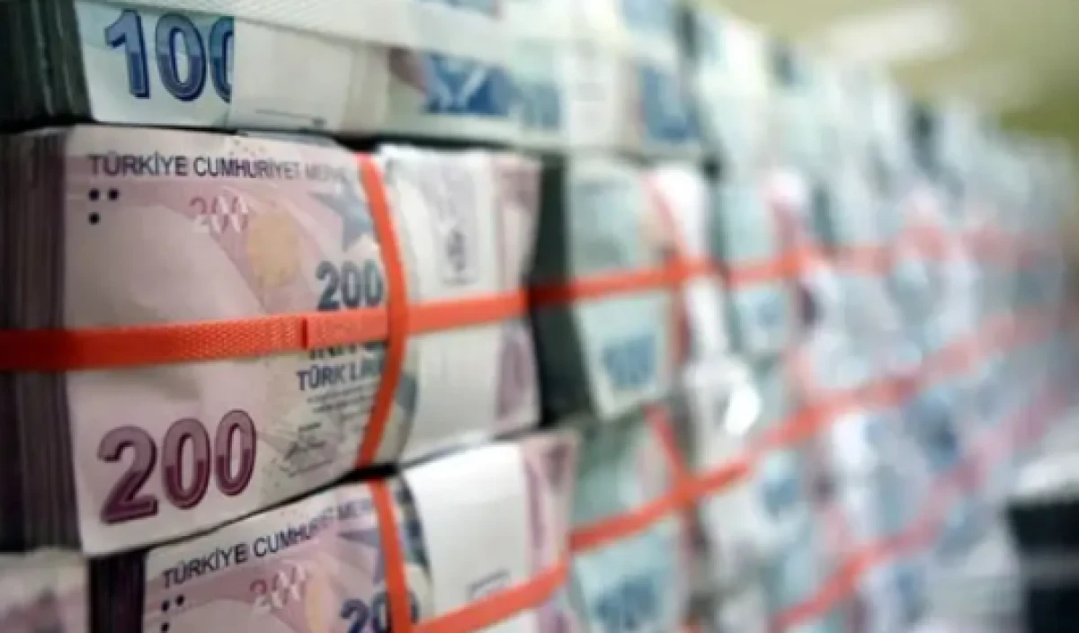 Parası olan herkesi ilgilendiriyor: Yatırımlara koruma kalkanı! E-Devlet d&ouml;nemi başladı