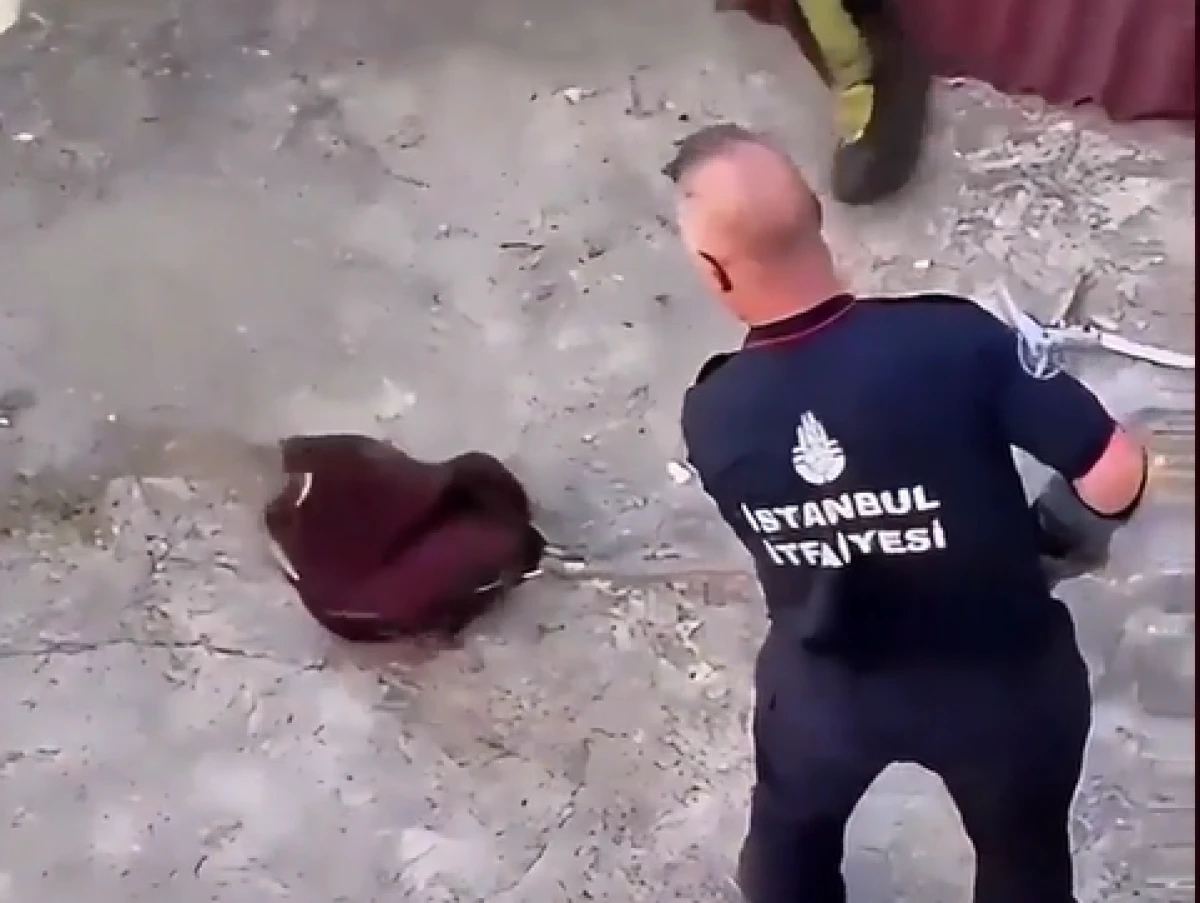 Pendik&rsquo;te garajda 1,5 metrelik yılan paniği: İtfaiye ekipleri yakalayıp doğaya bıraktı