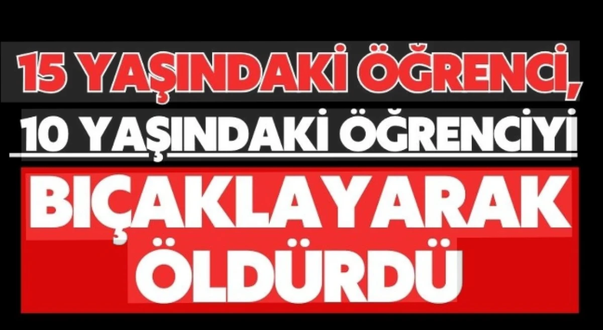 Rusya'da 15 yaşındaki &ccedil;ocuk, 10 yaşındaki &ccedil;ocuğu &ouml;ld&uuml;rd&uuml; 