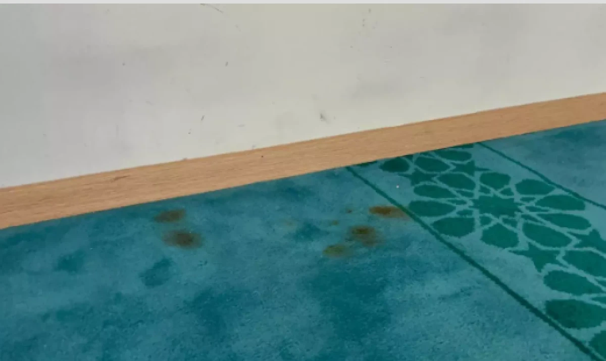 Sabah namazına giden cemaat şoke oldu             