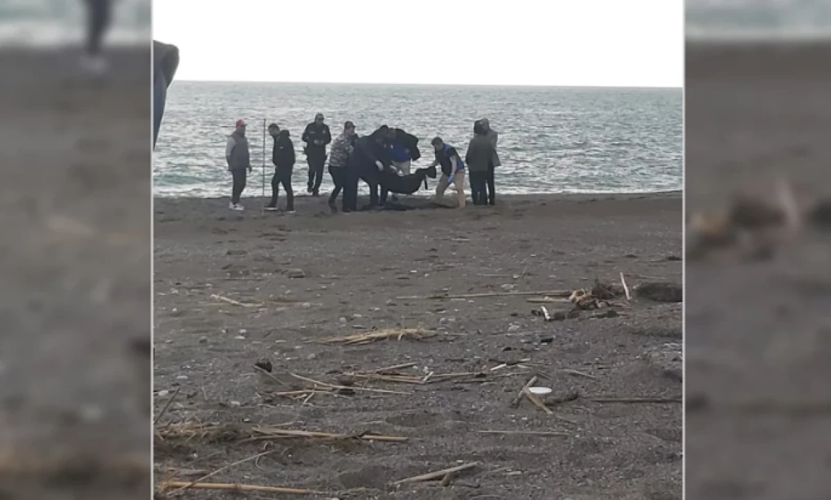Sahilde ş&uuml;pheli ceset! Par&ccedil;alanmış halde bulundu 