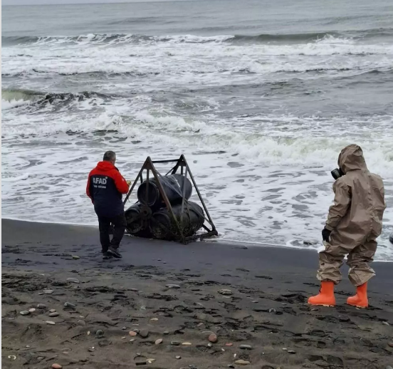 Sahile vuran variller ekipleri alarma geçirdi!  